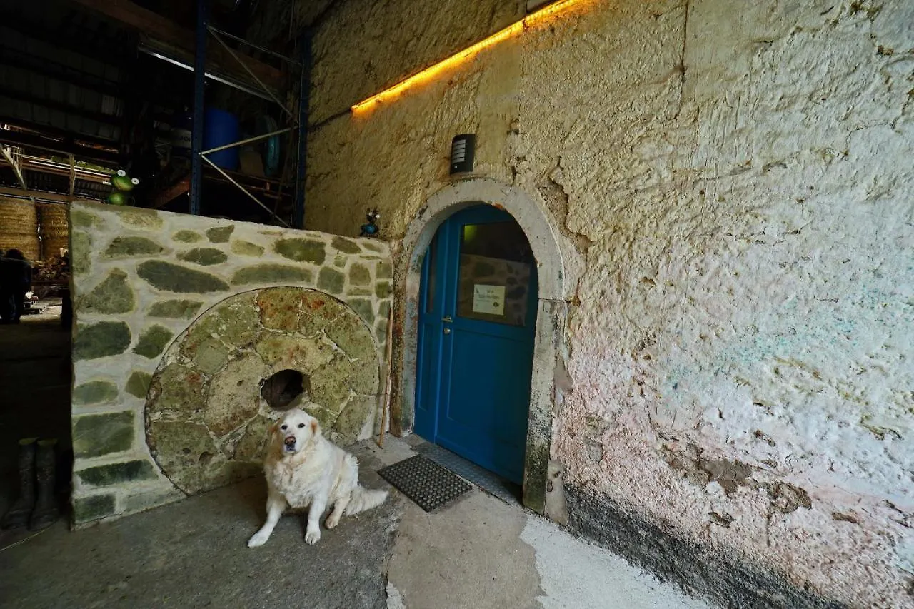 Bockholtz Room In Farmhouse Berkel 0*,